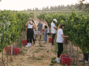 young adults picking fruit at a farm
